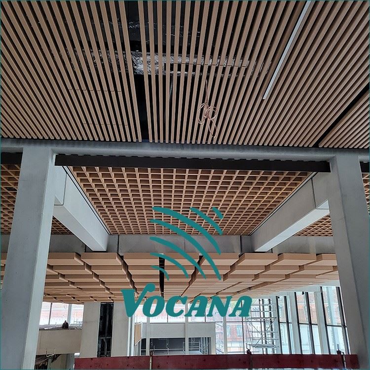 Warehouse WPC Ceiling suppliers