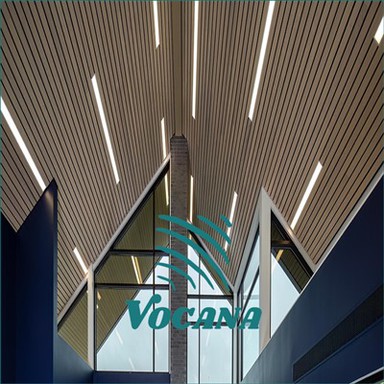 Miljövänligt WPC-timmertak för hotell